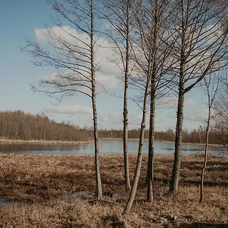 Nad Jeziorem Mazurskie Klimaty Chalet *