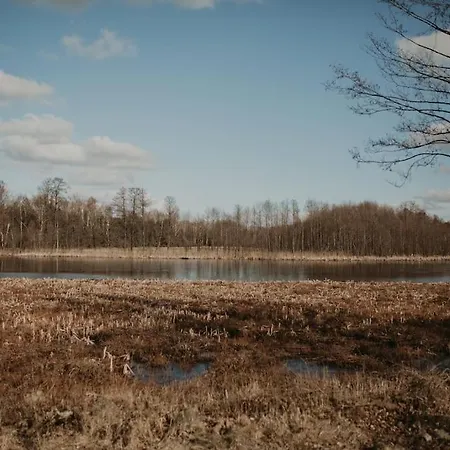 Nad Jeziorem Mazurskie Klimaty * Pogobie Tylne