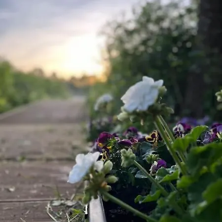 Nad Jeziorem Mazurskie Klimaty Chalet